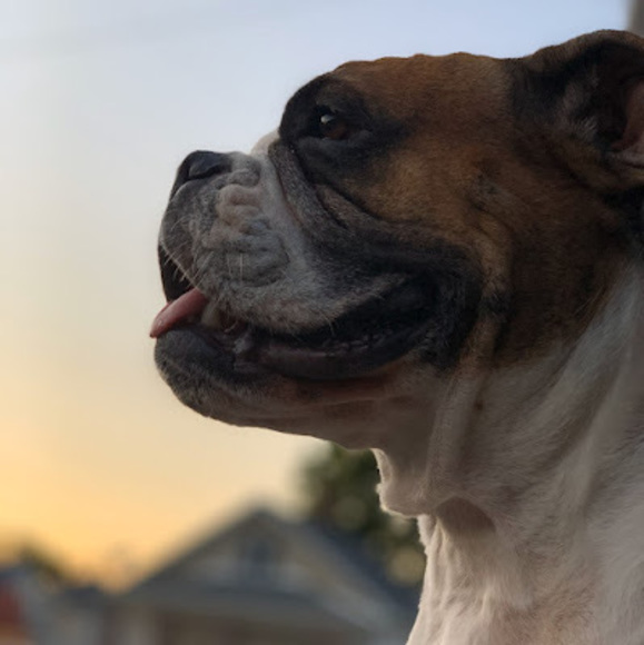 Meet your Posher, Kiauna - Picture 1 of 1